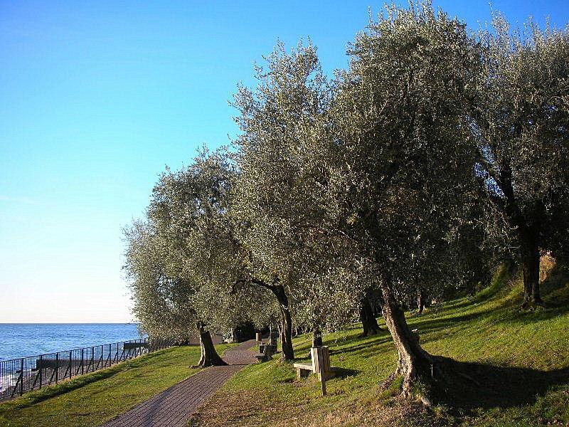 Laghi....della LOMBARDIA